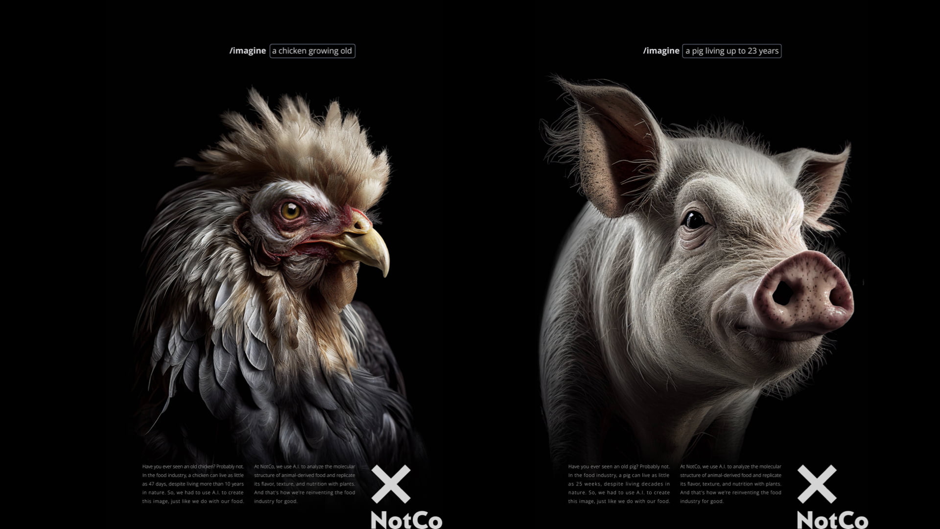 Campaign of the Day: What Livestock Would Look Like If They Survived to Full Life Expectancy